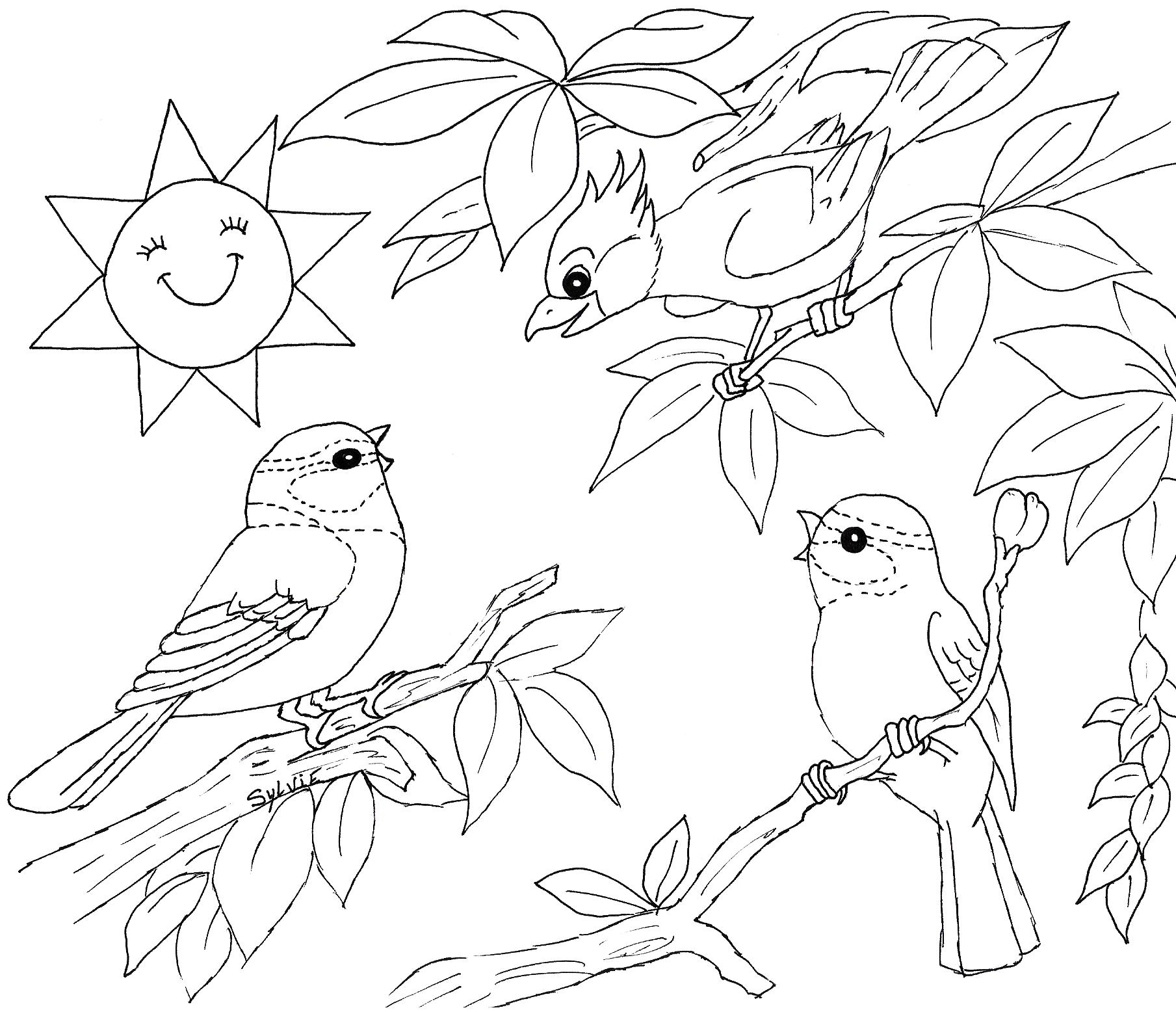 Funny Birds coloring page for children