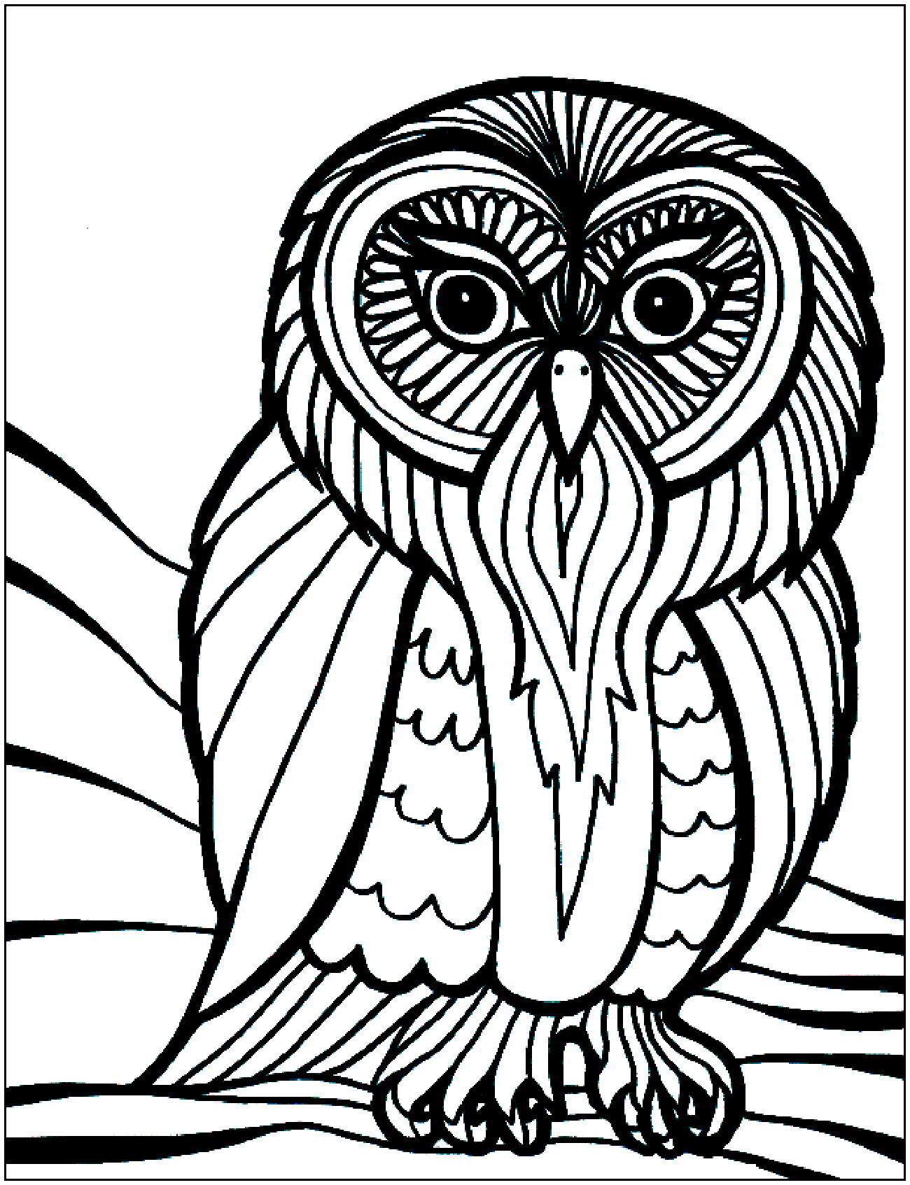 This owl full of details makes a great coloring page!