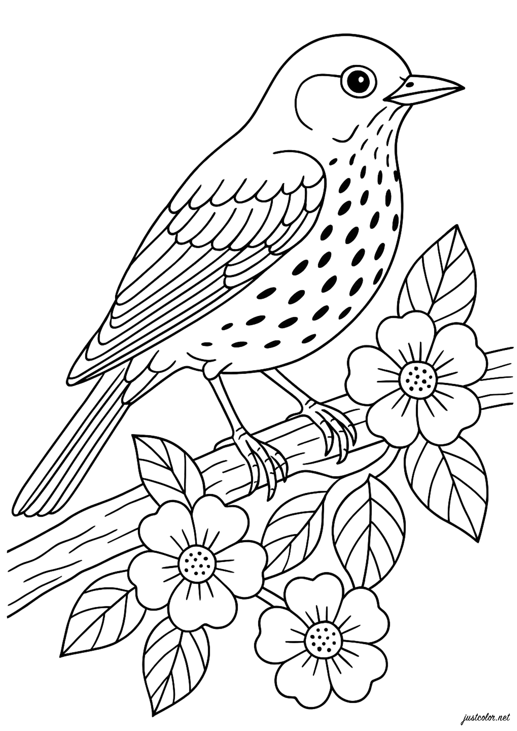 Elegant bird perched among the flowers (Printable Coloring Page for Kids)