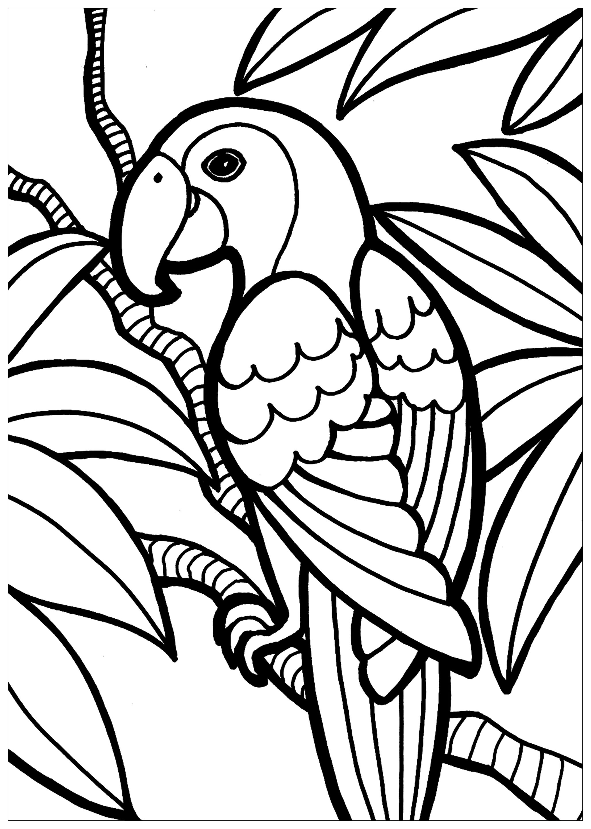 Coloring of a large parrot among the leaves