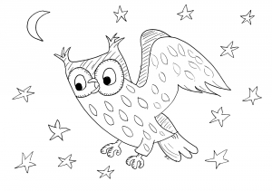 Coloring page birds to print for free