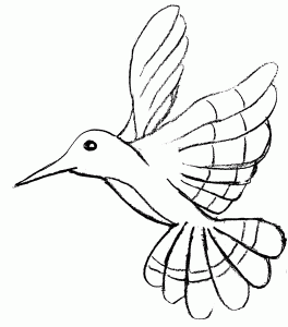 Coloring page birds to download