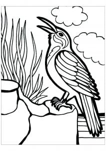 Birds Free Printable Coloring Pages For Kids