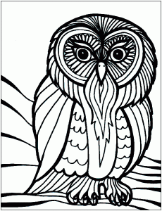 Coloring page birds to print