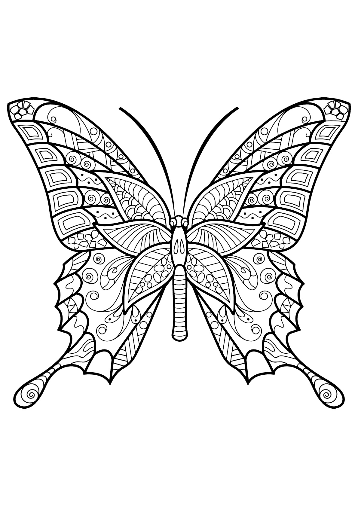 Butterflies free to color for children - Butterflies Kids Coloring Pages