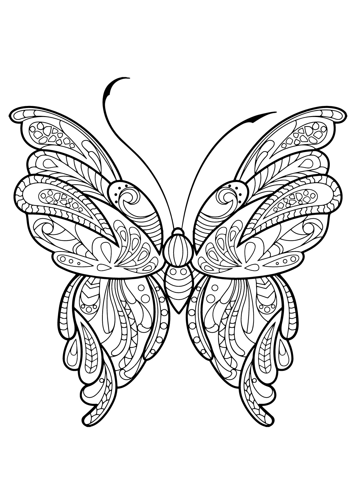 Butterflies free to color for kids - Butterflies Kids Coloring Pages