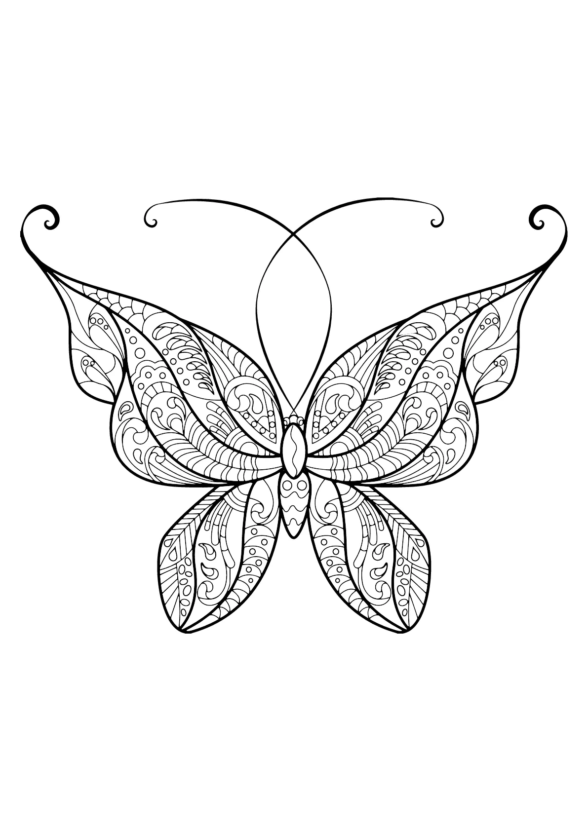 Butterflies image to download and color (Butterfly)