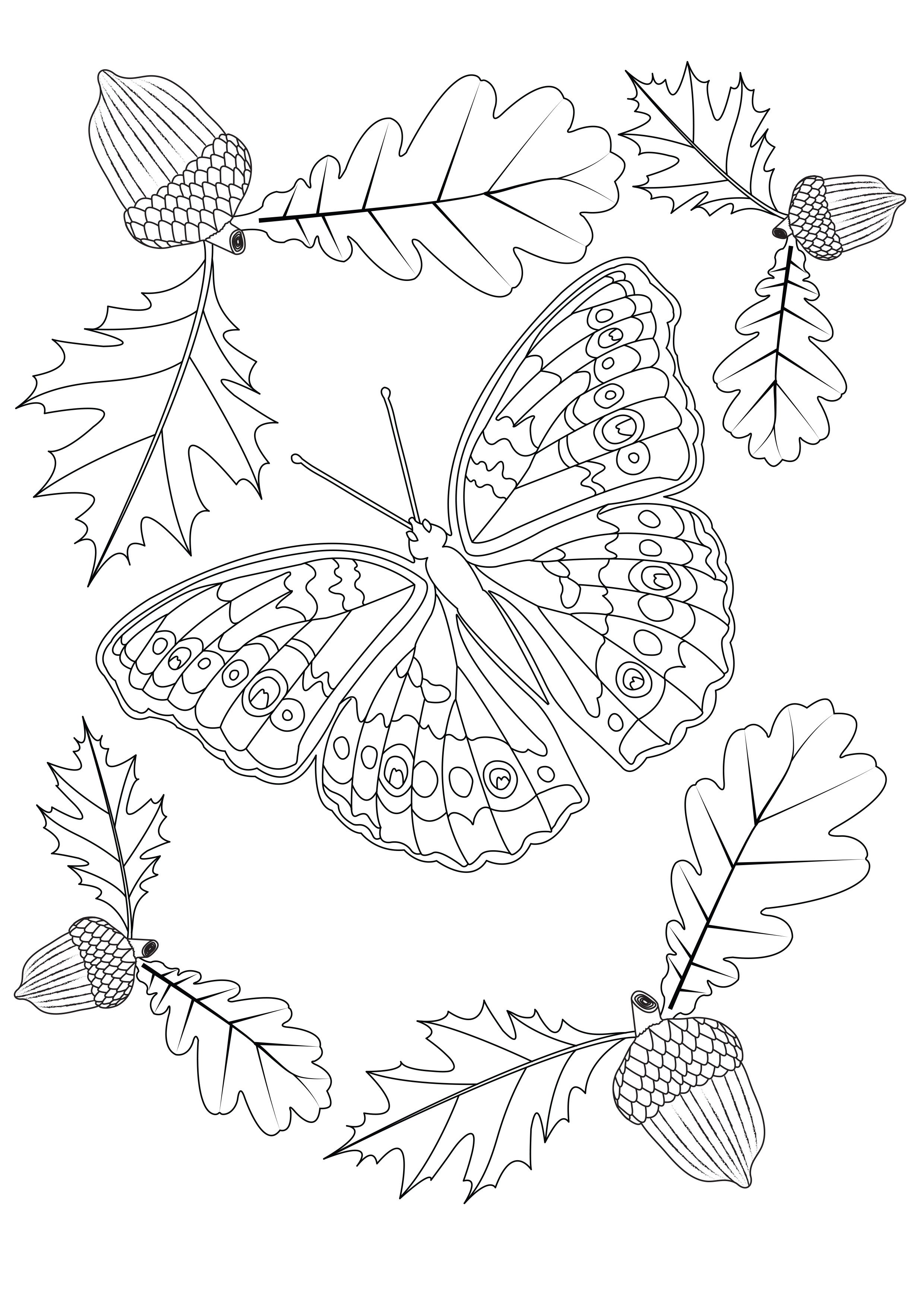 Butterflies drawing to print and color