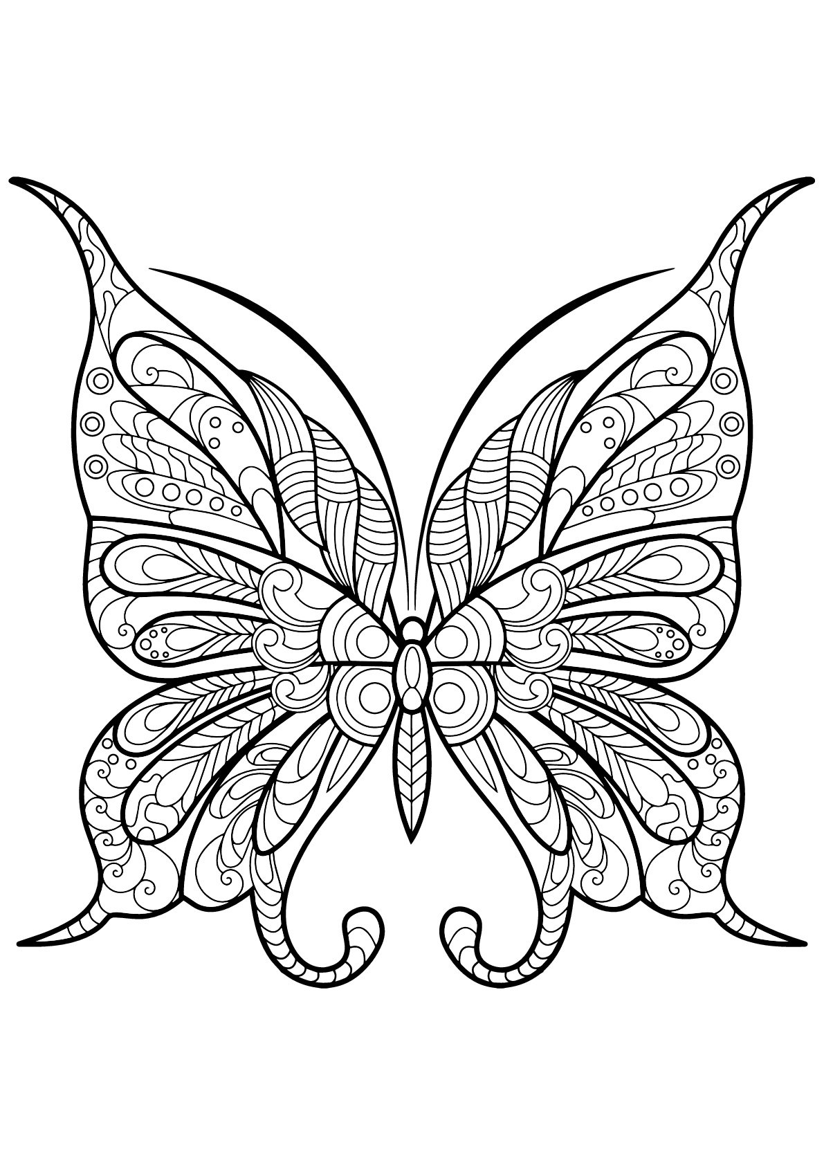 Simple Butterfly Coloring Pages Recipesdrop