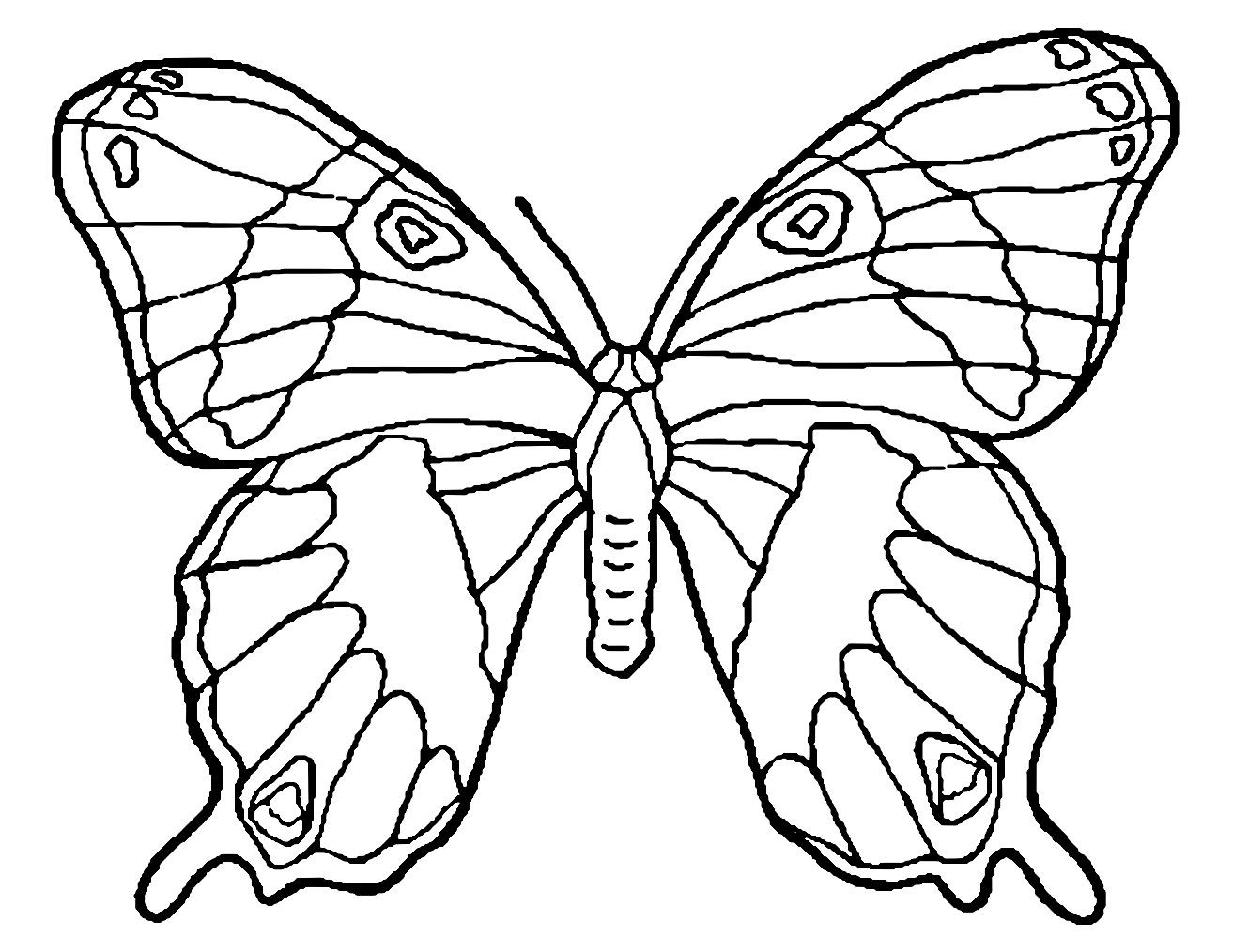 Simple butterfly coloring for kids