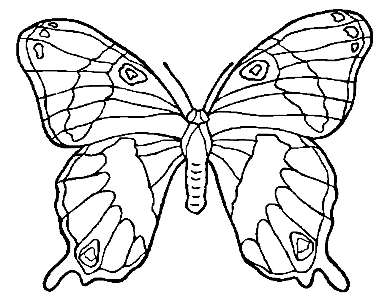 Butterfly drawing to color