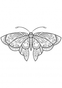 Butterfly coloring pages for kids