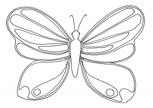 Coloring page butterflies to color for kids