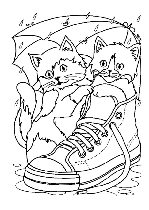 Incredible Cat coloring page to print and color for free : Kittens in a shoe
