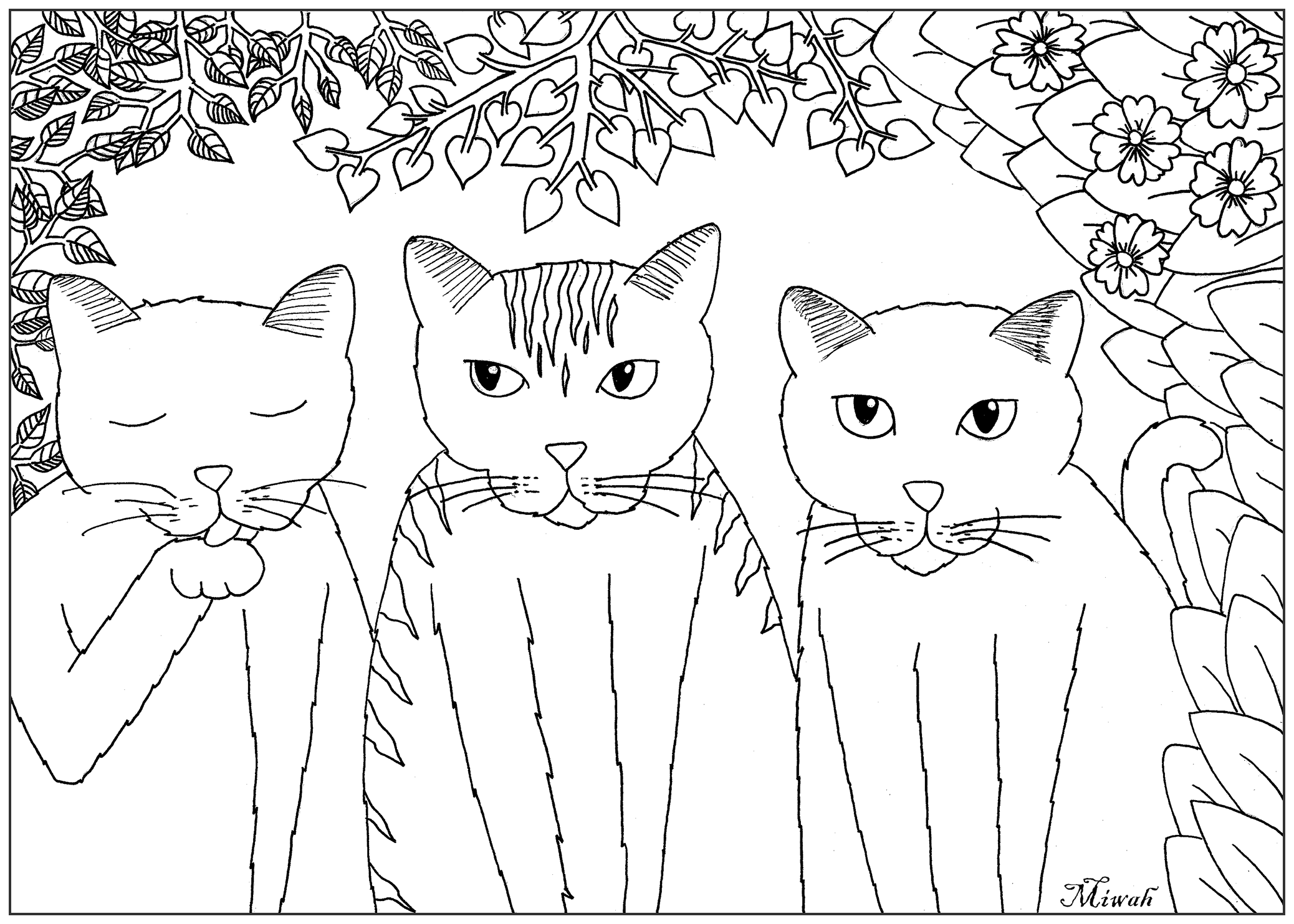 Three pretty little cats, Artist : Miwah