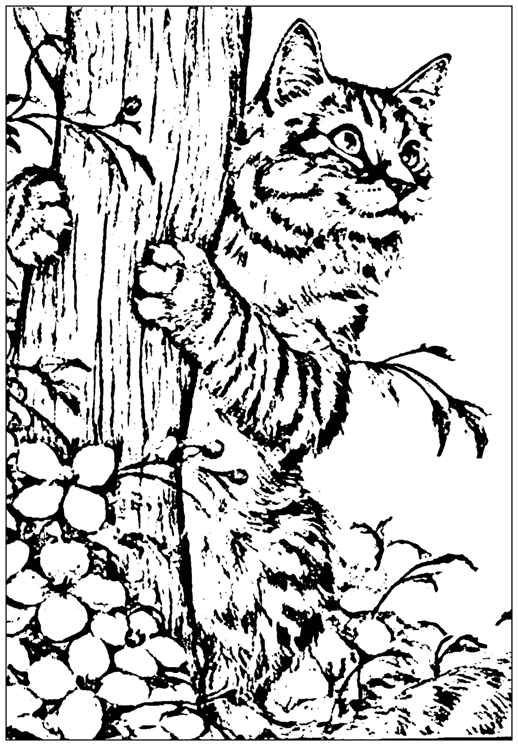 Cat to print created from a picture Cats Kids Coloring Pages