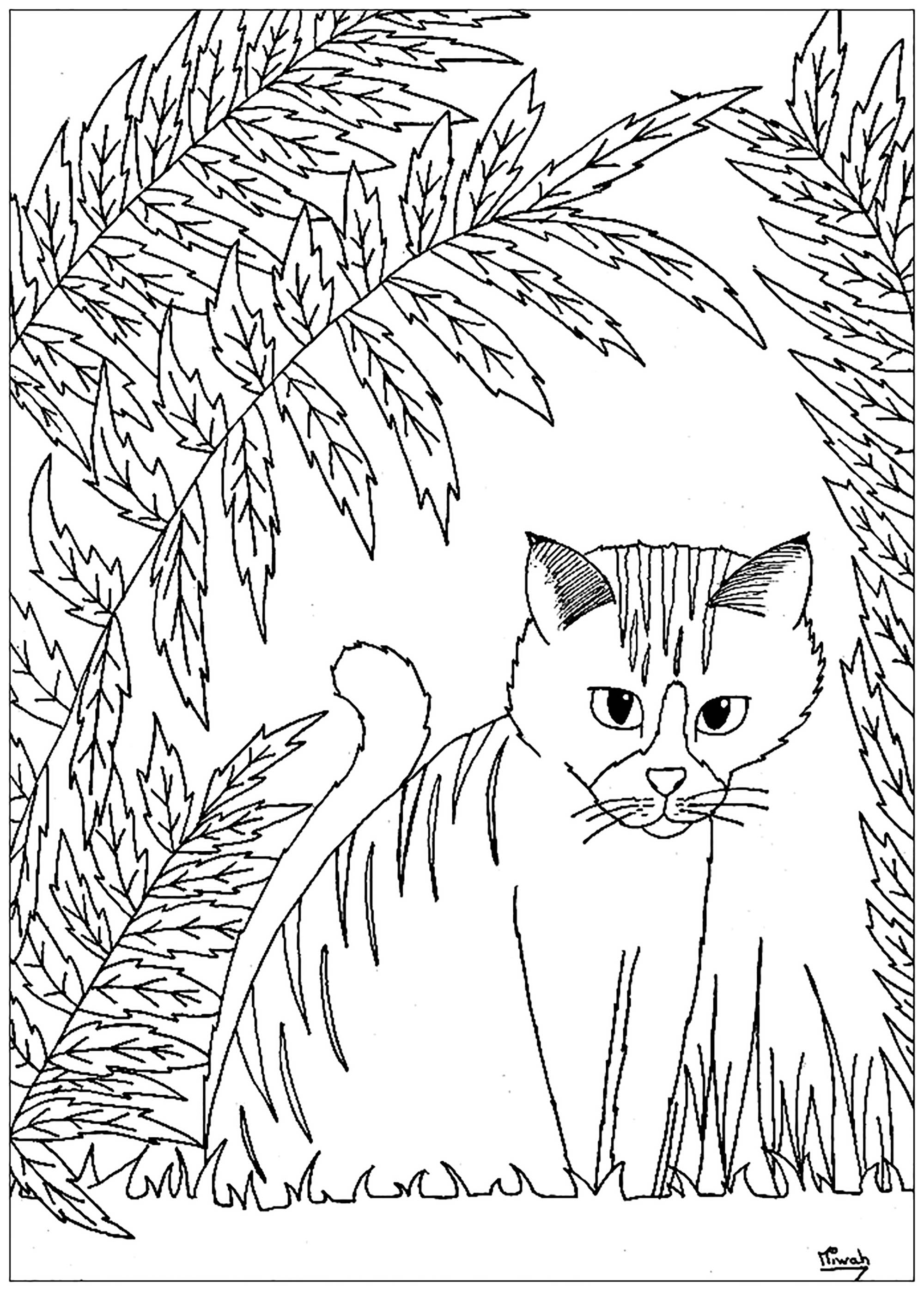 Download Cat to download : cat and leaves - Cats Kids Coloring Pages