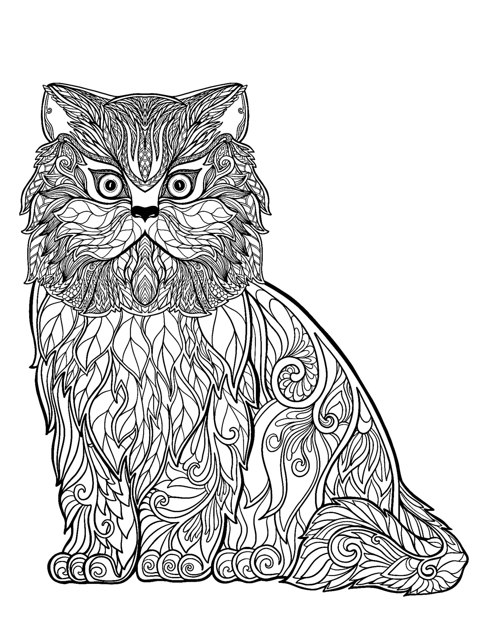 Cat free to color for kids : Wise cat full of details ...