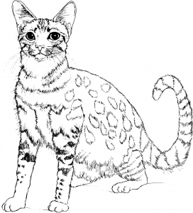 Cats - Free printable Coloring pages for kids - Page 3