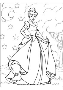 Cinderella and a starry sky