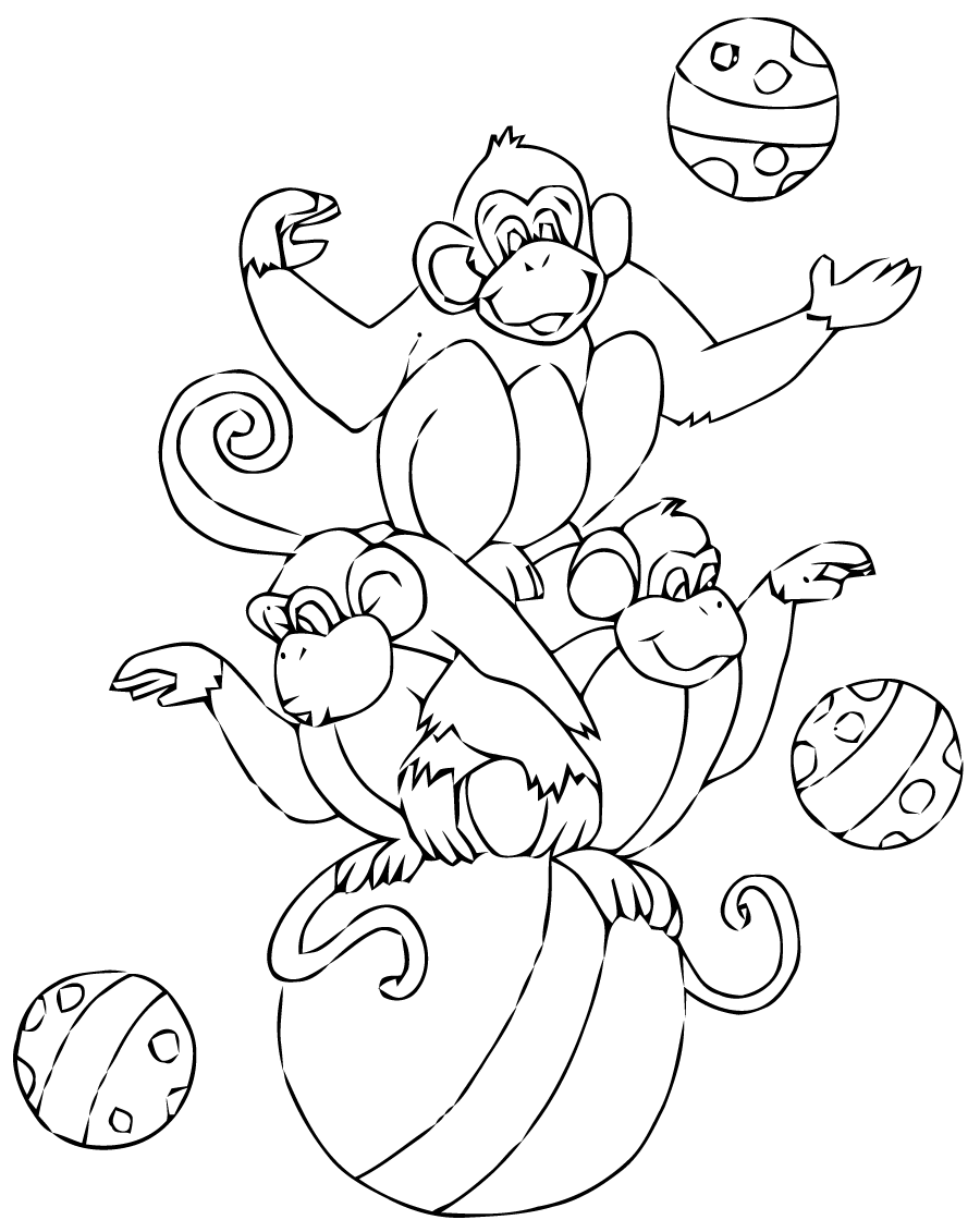 Coloring Circus Monkeys Circus Kids Coloring Pages