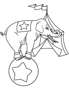 Coloring page circus for children