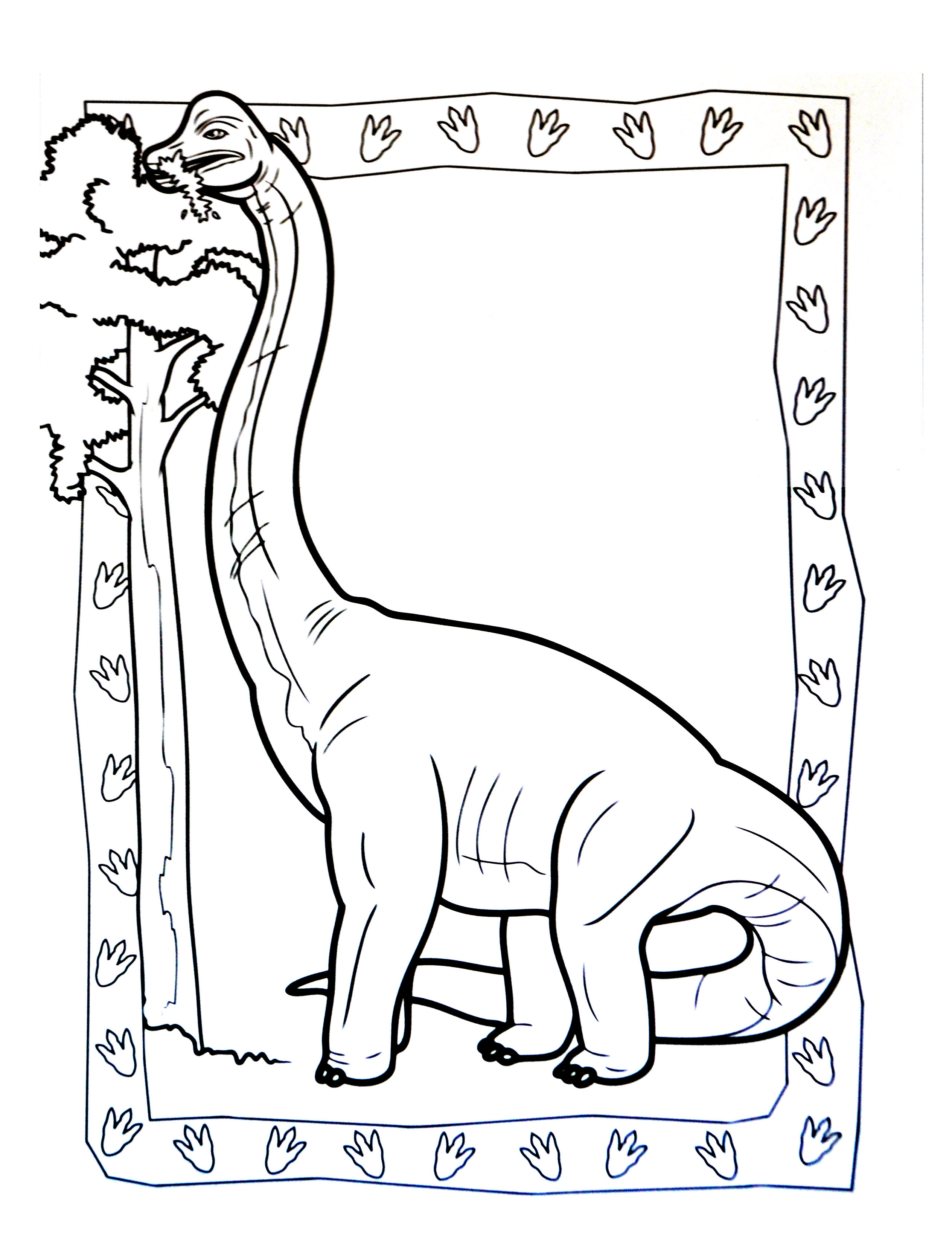 An Apatosaurus  eating leaves and branches from a tree