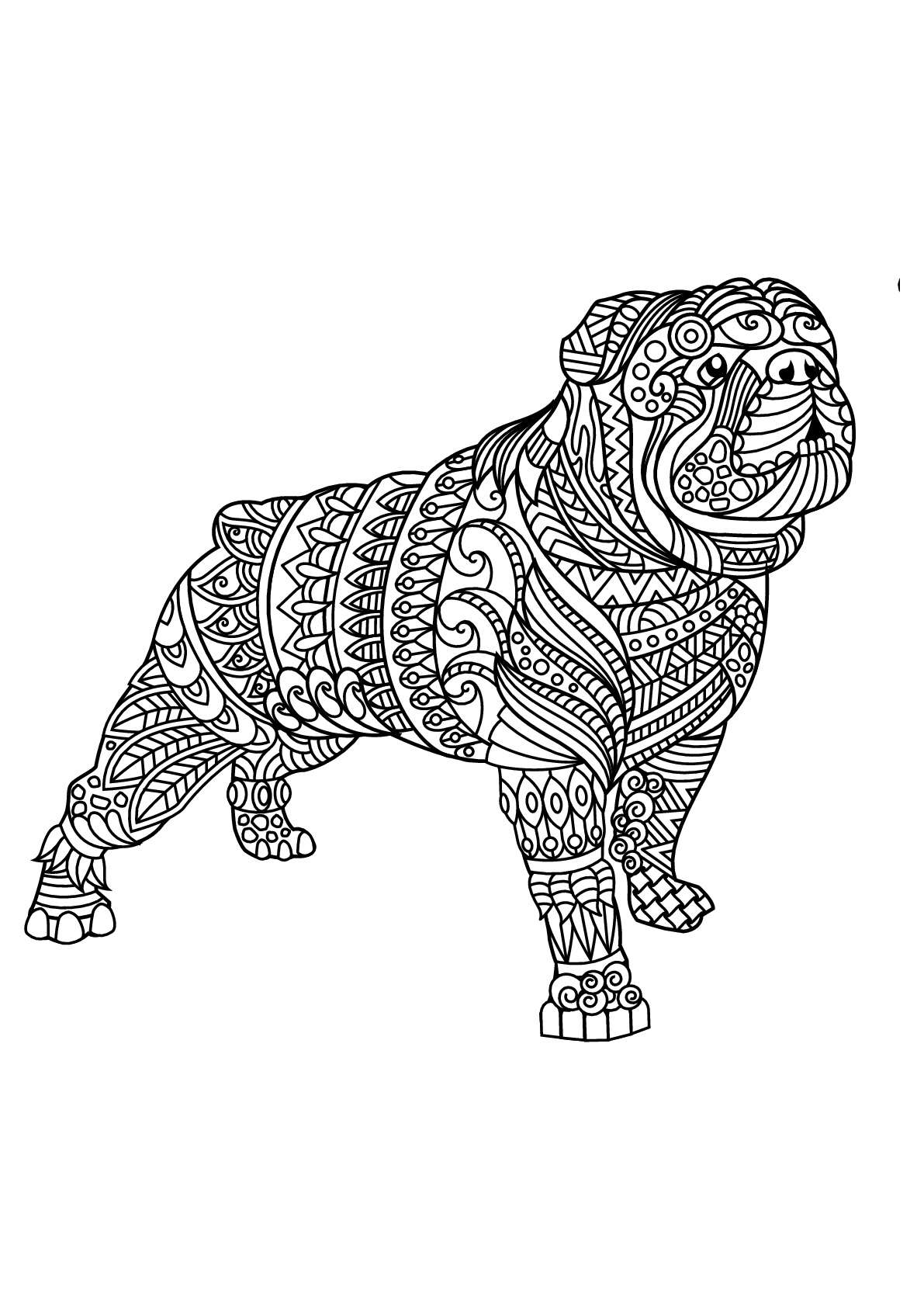 Bulldog, with harmonious and complex patterns