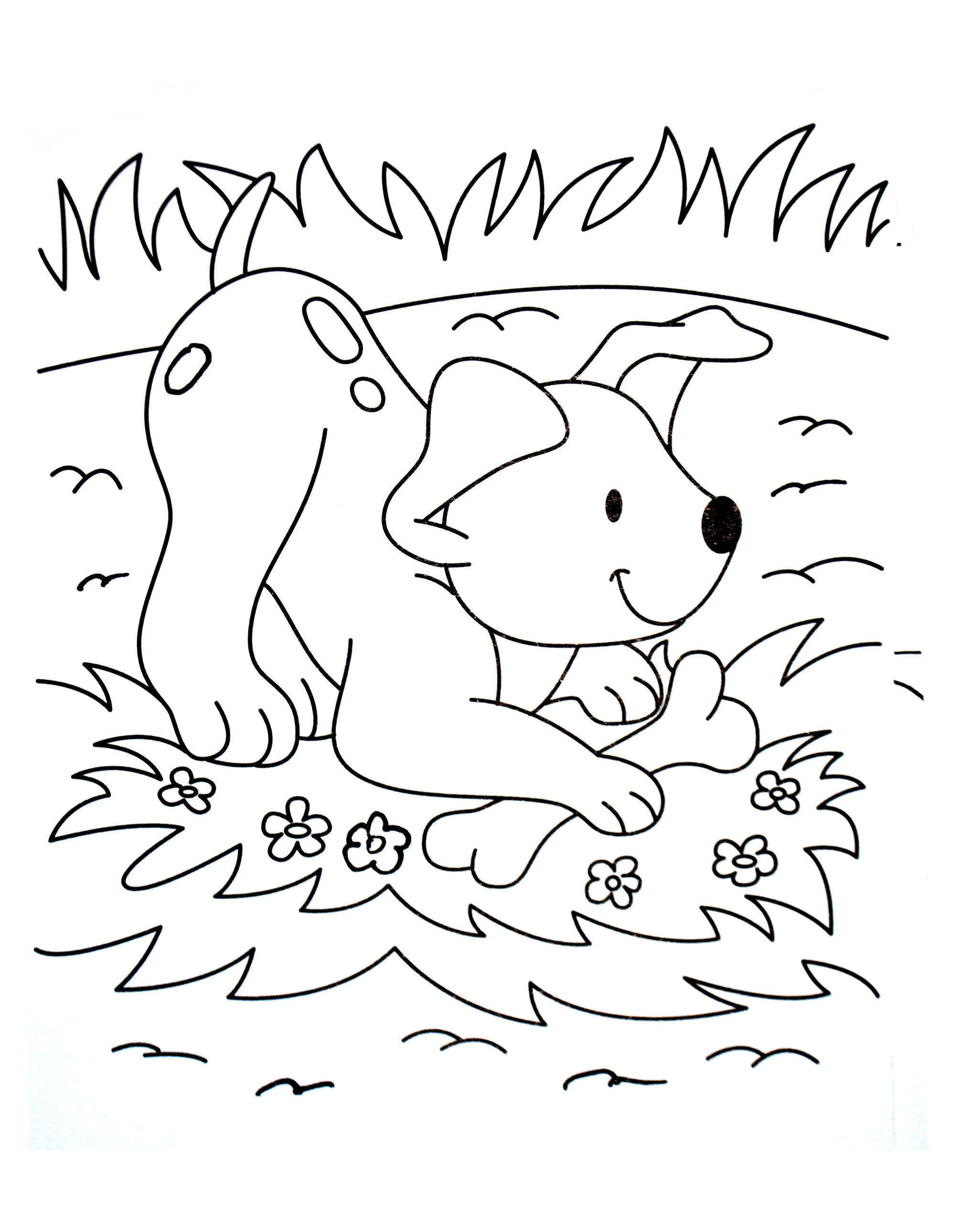 Amazing dog coloring for kids