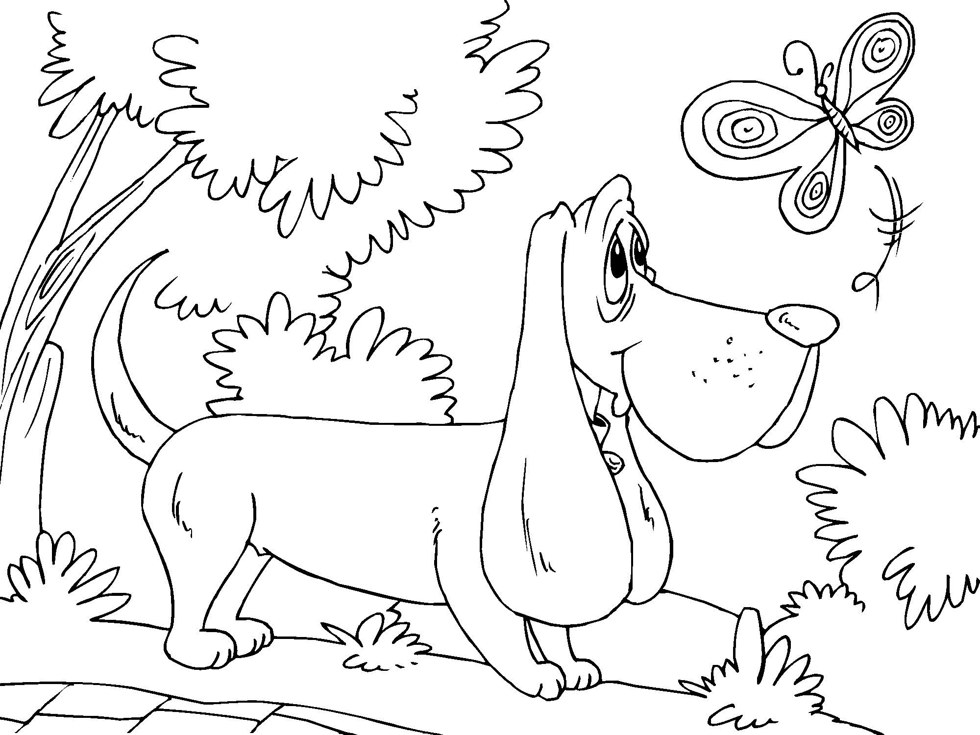 A dog strolling with a butterfly, to color