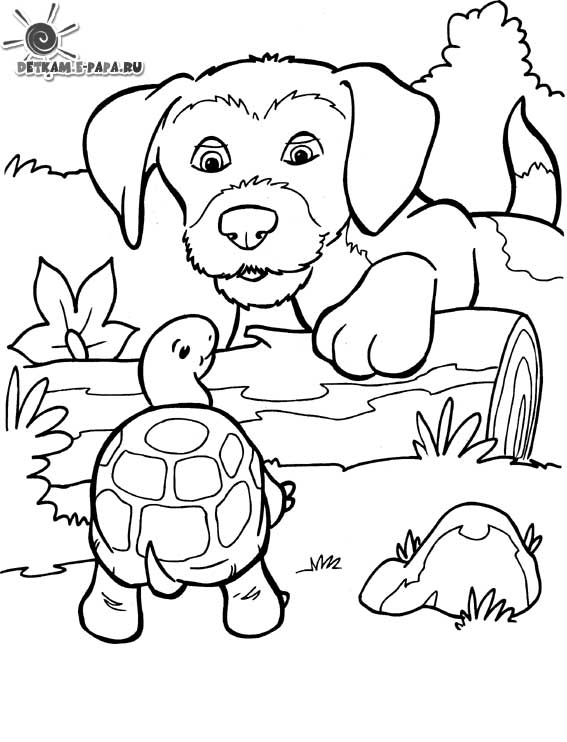 A coloring book of a dog with a turtle