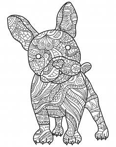 Coloring page dog to download for free
