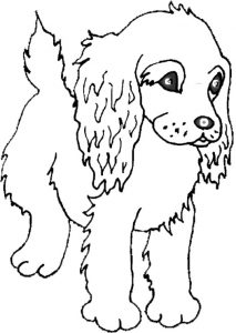 Coloring page dog to download : American Cocker Spaniel