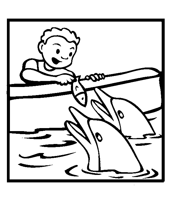 Child feeding two dolphins