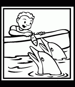 Coloring page dolphins to print for free