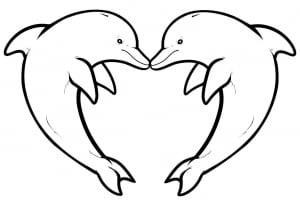 Free dolphin coloring page