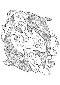 Coloring page dolphins to color for children