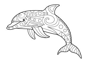 Dolphin and simple patterns