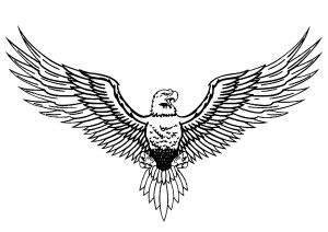 The eagle's wingspan