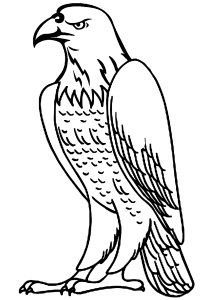 Standing eagle