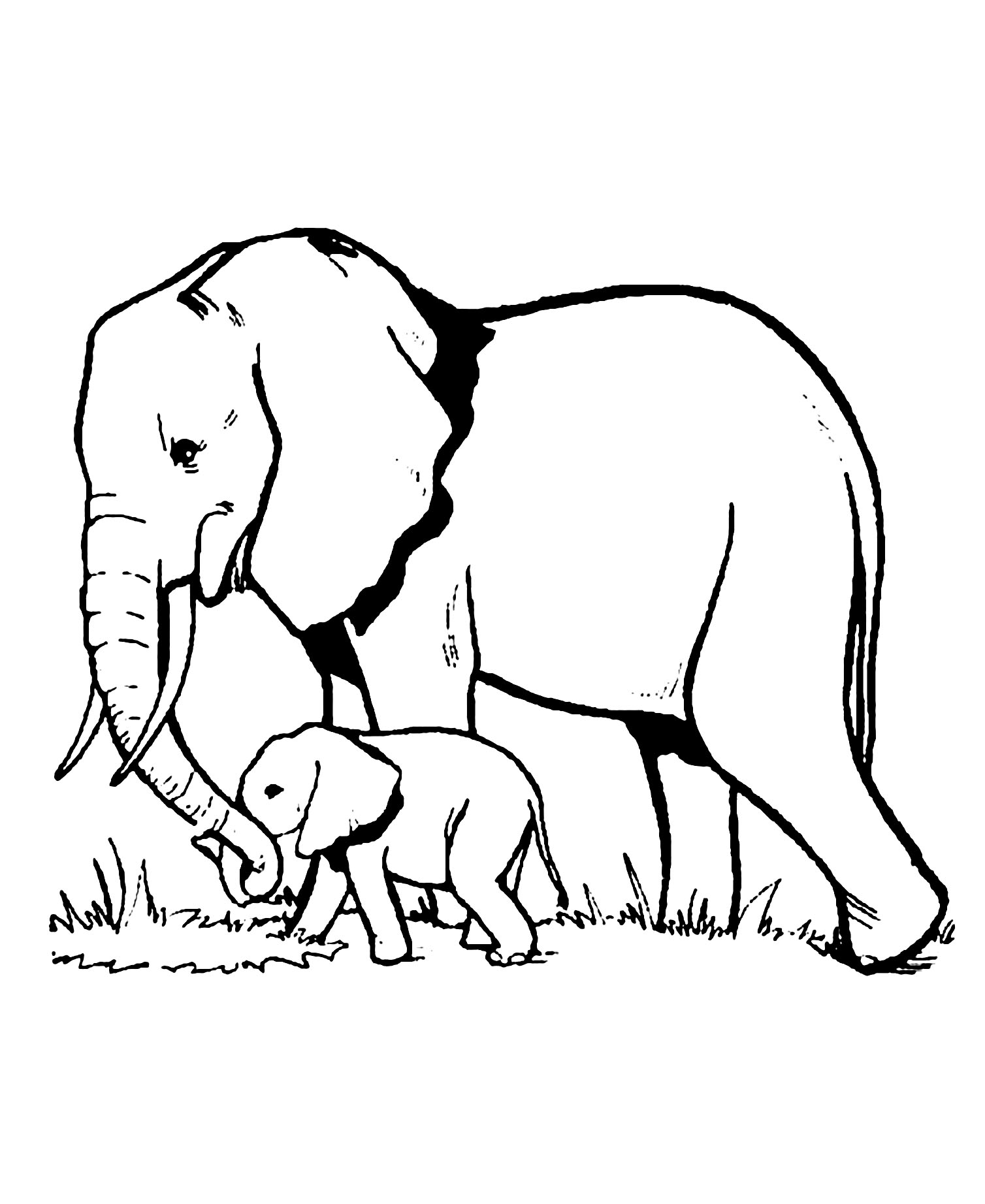 Nice simple elephant coloring pages for kids