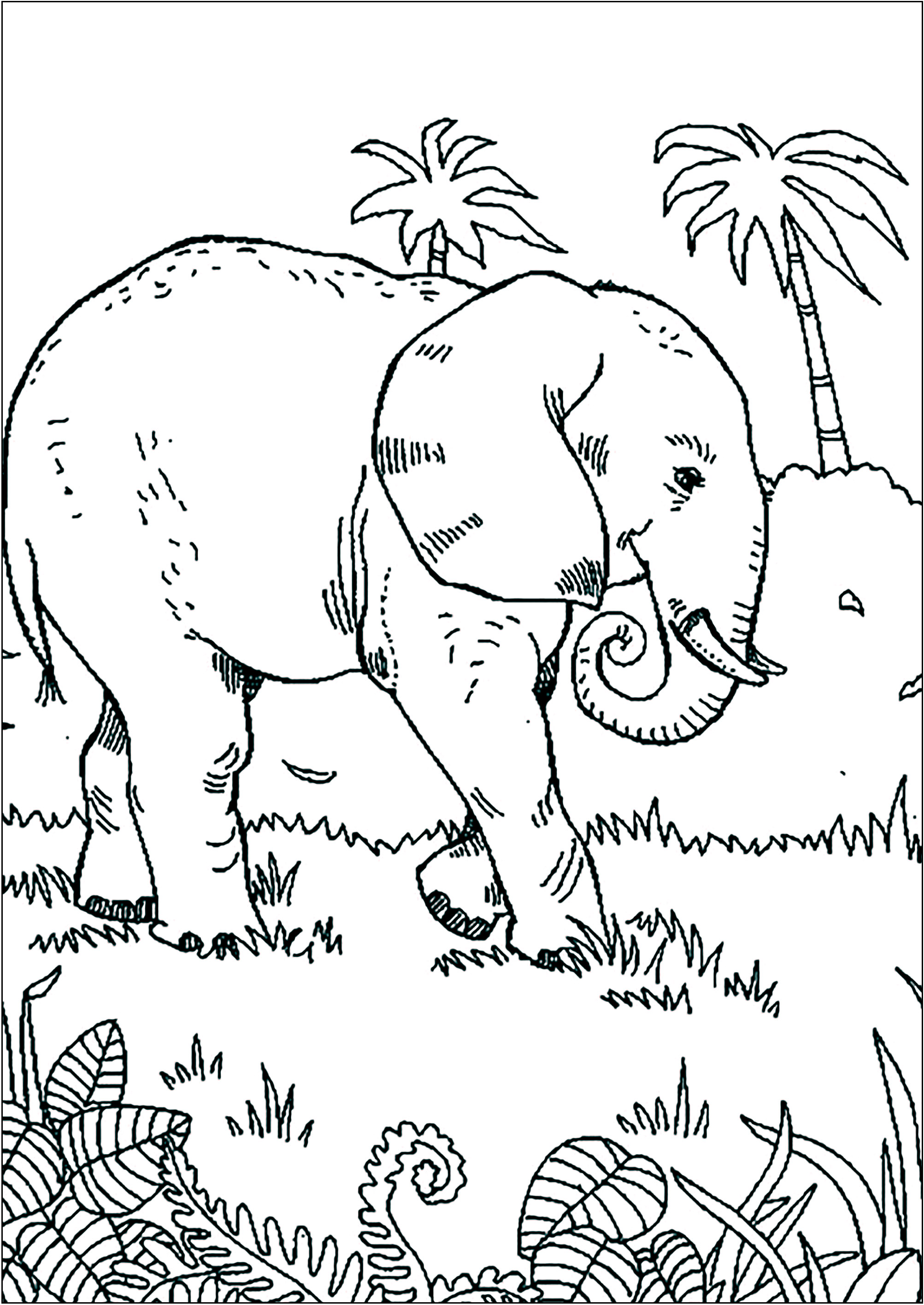 Coloring Page : Elephant walking in the Savannah Printable Coloring Page for Kids : Elephant walking in the Savannah