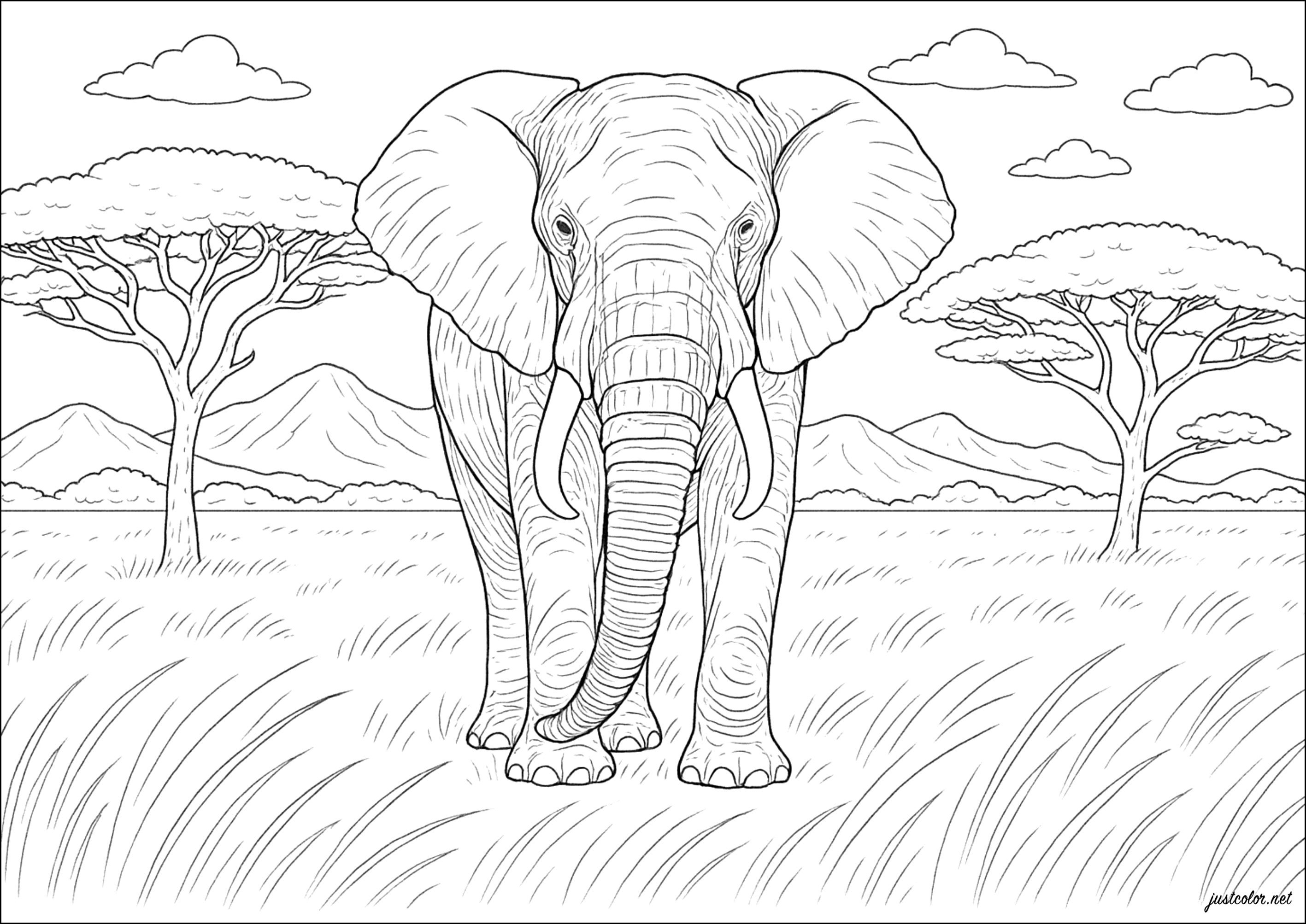 Majestic savannah elephant (Printable Coloring Page for Kids)