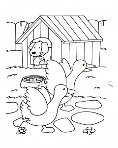 Farm coloring for kids