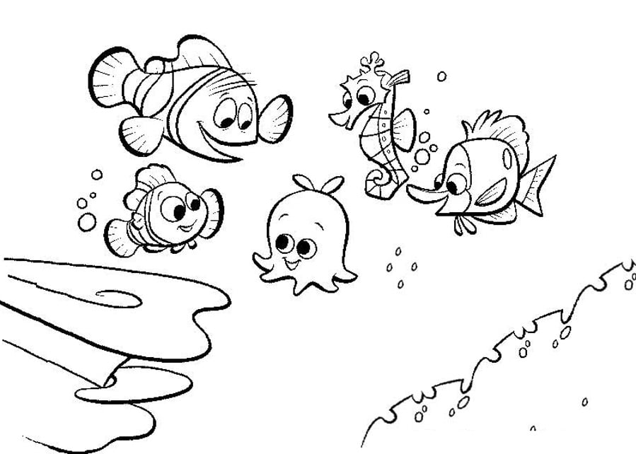 Nemo the fish and his classmates