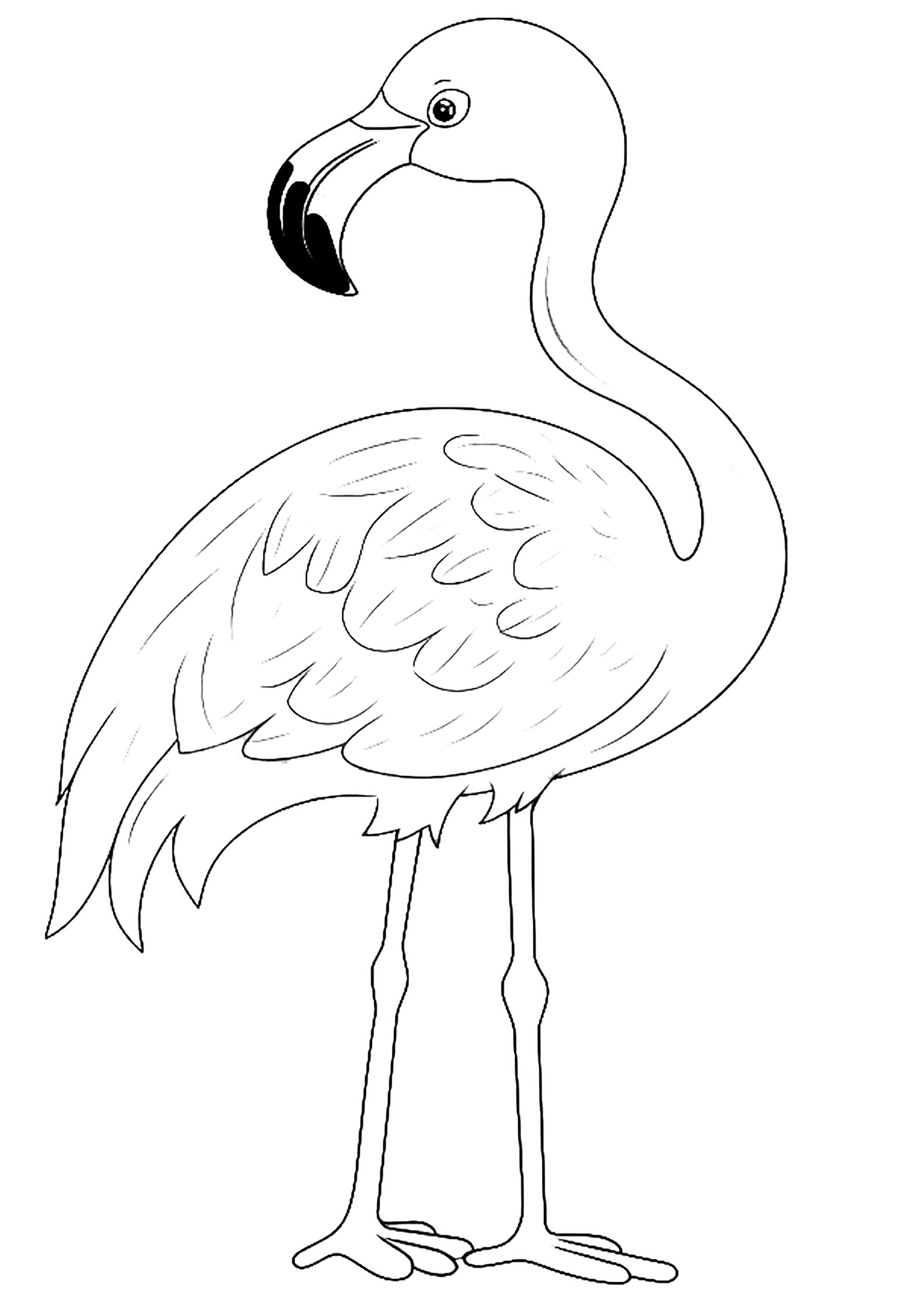 Pretty pink flamingo. Very simple coloring page