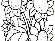 Flowers Coloring Pages for Kids