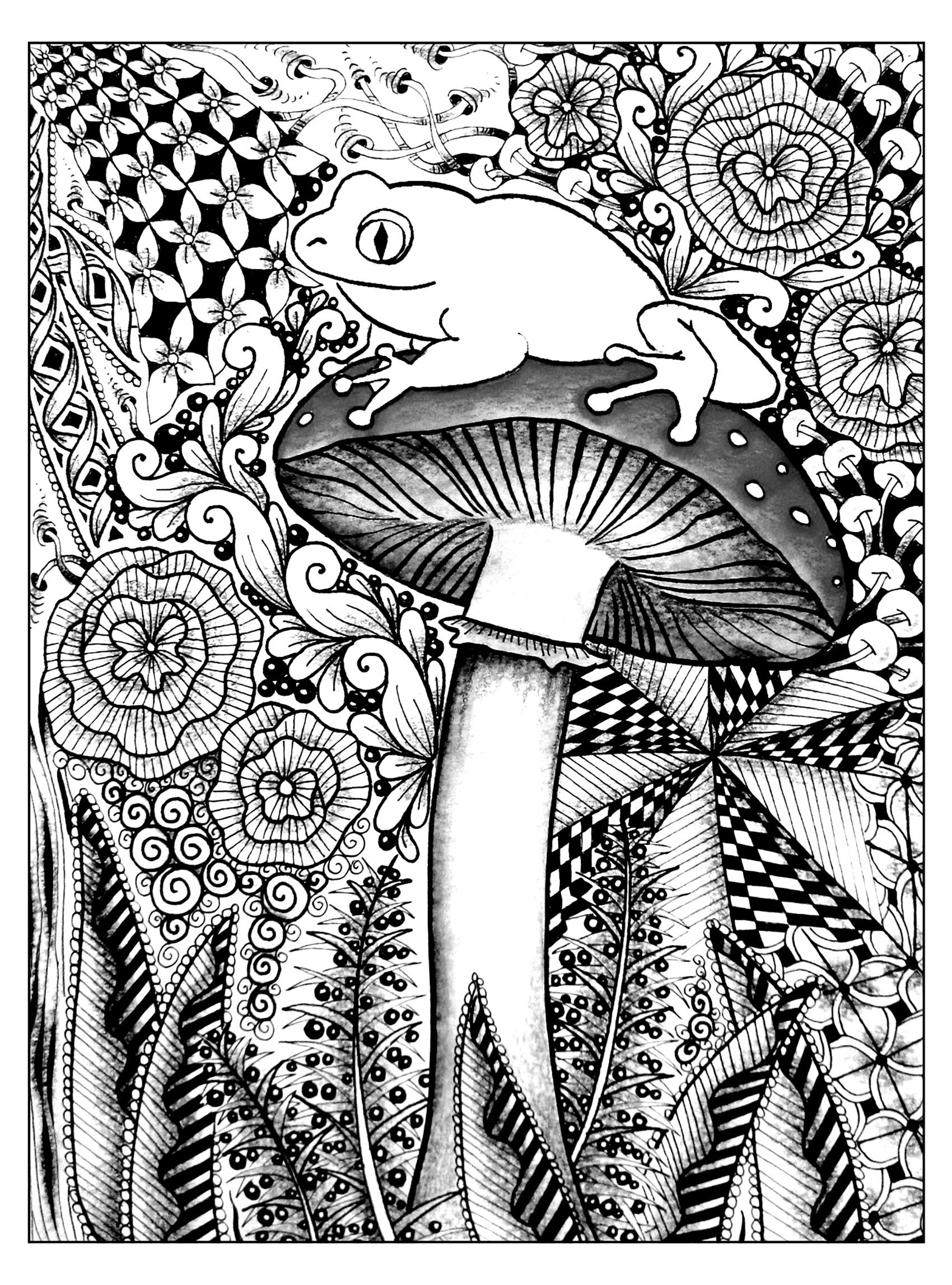 adult frog coloring pages