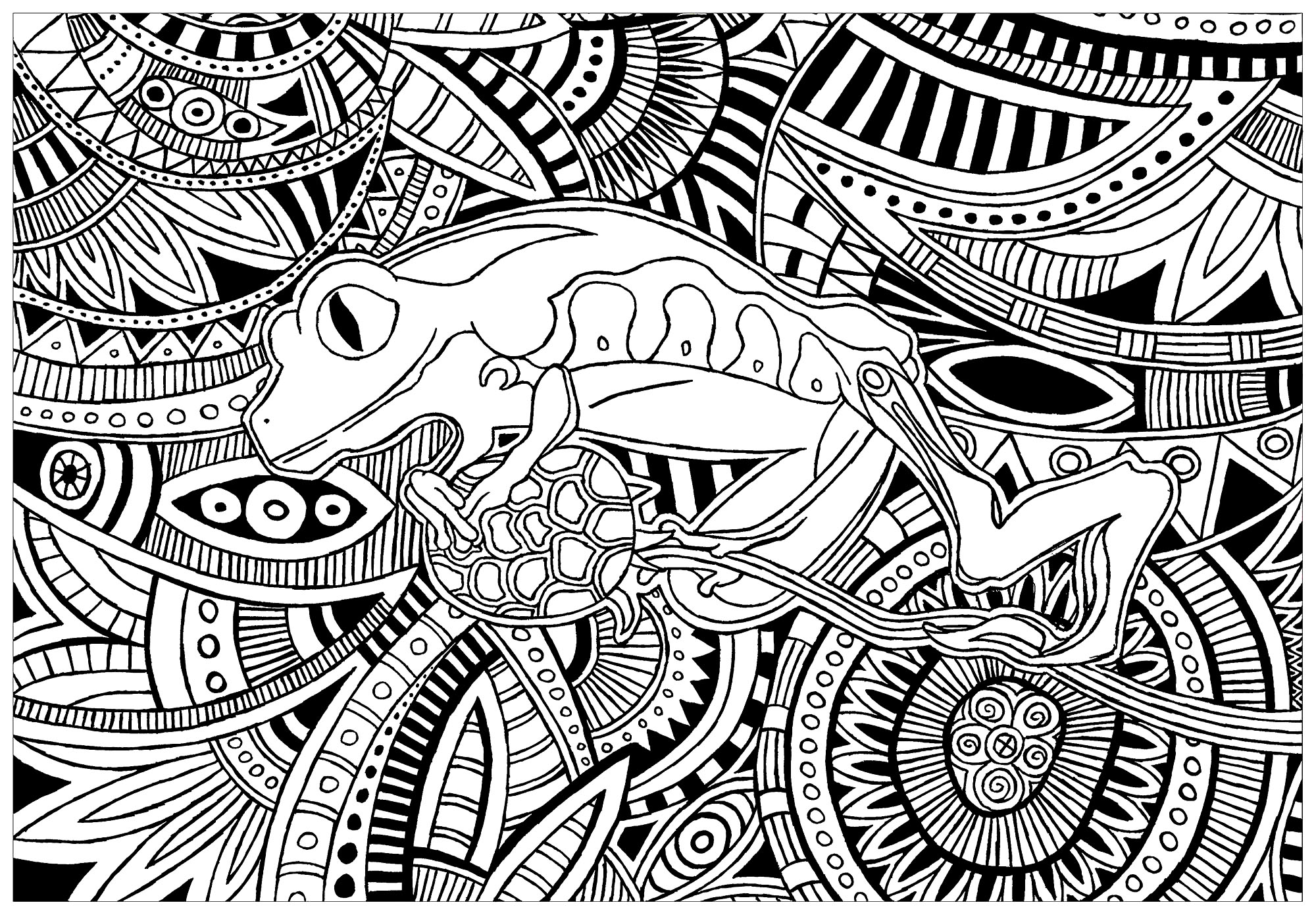 Frogs for children - Frogs Kids Coloring Pages