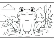 Printable Frogs coloring sheets for Kids